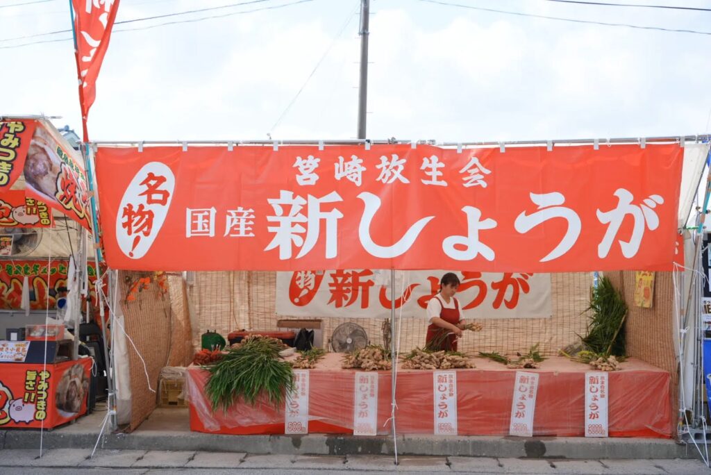 放生会名物の新しょうが
